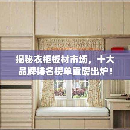揭秘衣柜板材市场，十大品牌排名榜单重磅出炉！