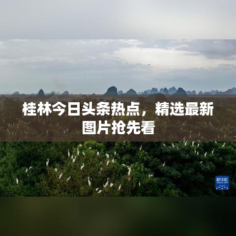 桂林今日头条热点，精选最新图片抢先看