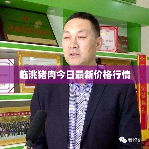 临洮猪肉今日最新价格行情