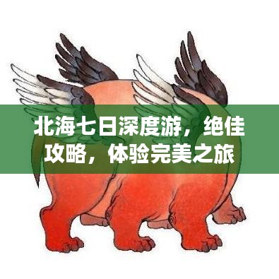 北海七日深度游，绝佳攻略，体验完美之旅