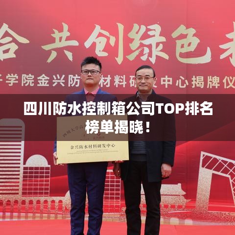 四川防水控制箱公司TOP排名榜单揭晓！