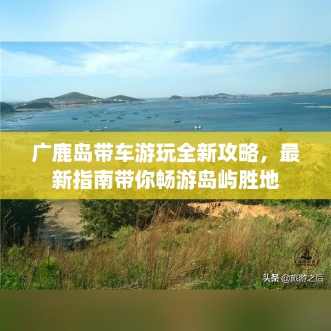广鹿岛带车游玩全新攻略，最新指南带你畅游岛屿胜地