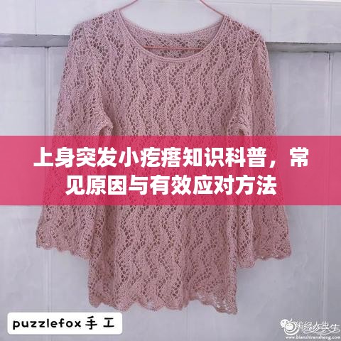 上身突发小疙瘩知识科普，常见原因与有效应对方法