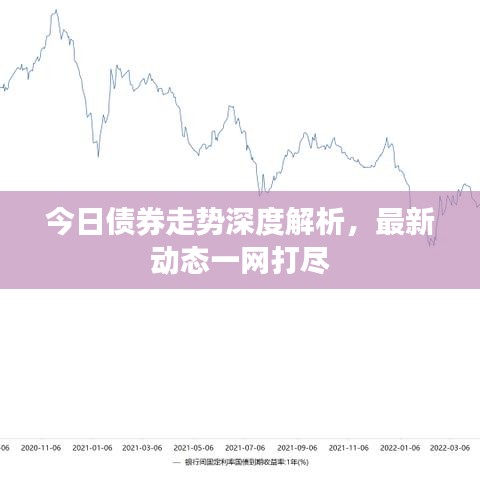 今日债券走势深度解析，最新动态一网打尽