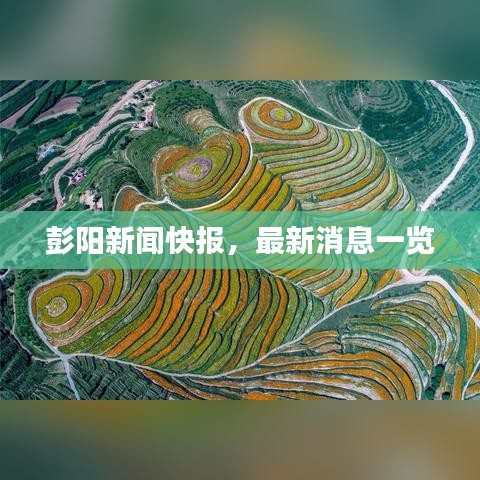彭阳新闻快报，最新消息一览