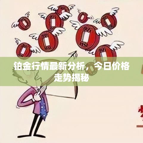 铂金行情最新分析，今日价格走势揭秘