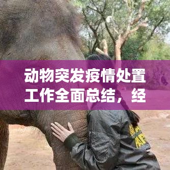 动物突发疫情处置工作全面总结，经验、教训与未来展望