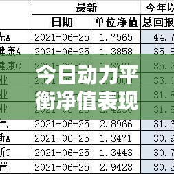 今日动力平衡净值表现亮眼，最新净值一览无余！