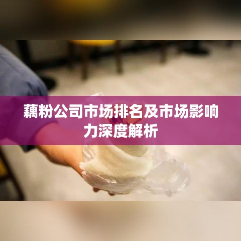藕粉公司市场排名及市场影响力深度解析