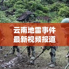 云南地雷事件最新视频报道揭秘