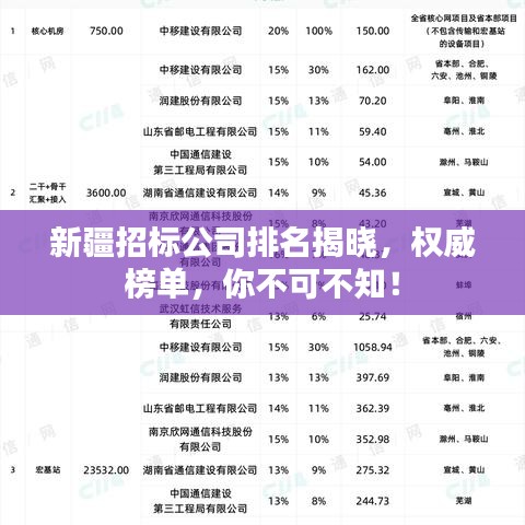 新疆招标公司排名揭晓，权威榜单，你不可不知！