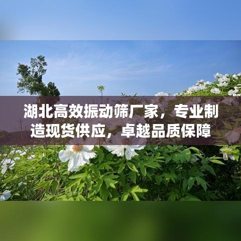 湖北高效振动筛厂家，专业制造现货供应，卓越品质保障