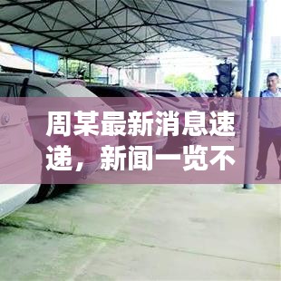 周某最新消息速递，新闻一览不容错过