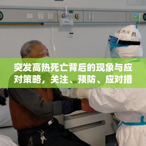 突发高热死亡背后的现象与应对策略，关注、预防、应对措施全解析