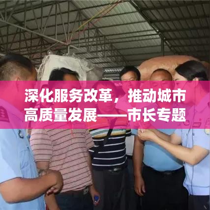 深化服务改革，推动城市高质量发展——市长专题听取汇报