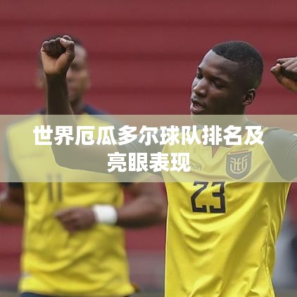世界厄瓜多尔球队排名及亮眼表现