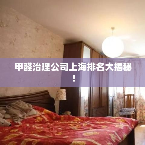 甲醛治理公司上海排名大揭秘！