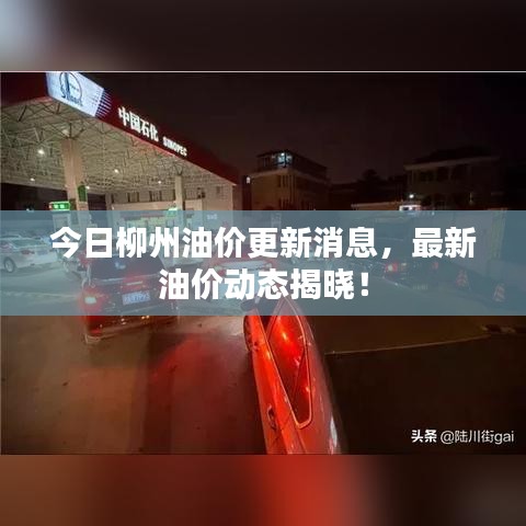 今日柳州油价更新消息，最新油价动态揭晓！