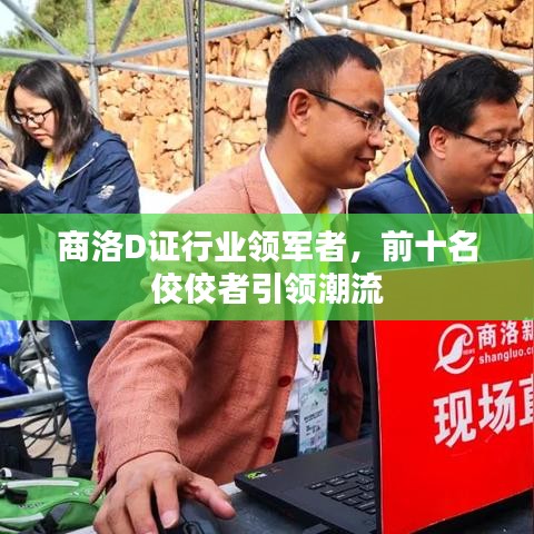 商洛D证行业领军者，前十名佼佼者引领潮流