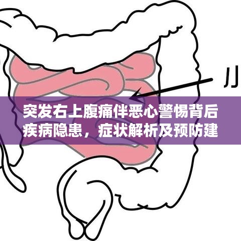 突发右上腹痛伴恶心警惕背后疾病隐患，症状解析及预防建议！