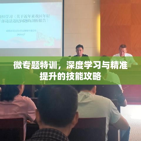 微专题特训，深度学习与精准提升的技能攻略