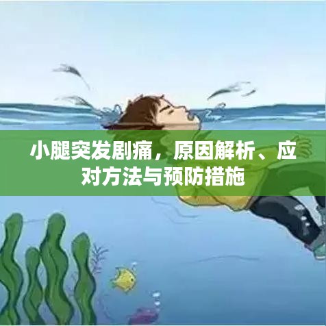 小腿突发剧痛，原因解析、应对方法与预防措施