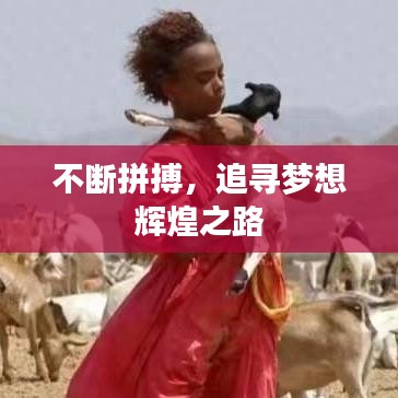 不断拼搏，追寻梦想辉煌之路