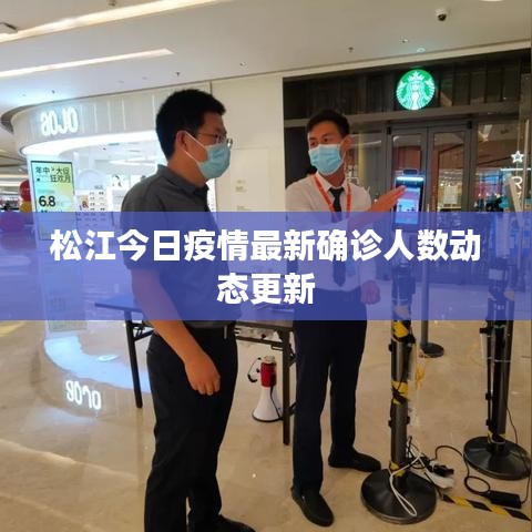 松江今日疫情最新确诊人数动态更新