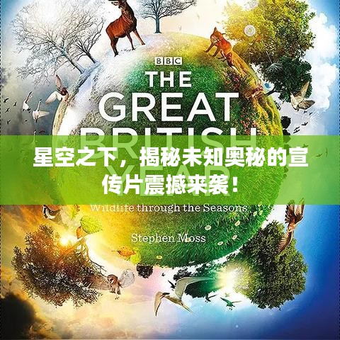 星空之下，揭秘未知奥秘的宣传片震撼来袭！