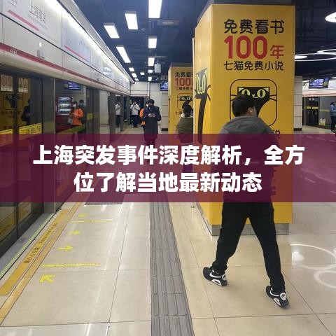 上海突发事件深度解析，全方位了解当地最新动态